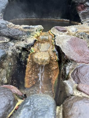   at Breitenbush Hot Springs Retreat Center in Detroit