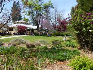  at The Expanding Light Retreat in Nevada City