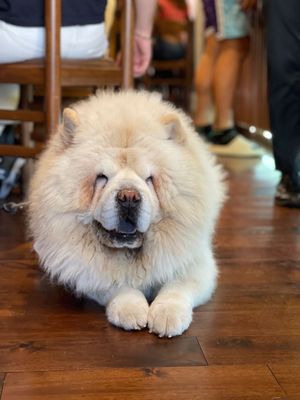 Are you bringing your friend with you? at Victoria House in London