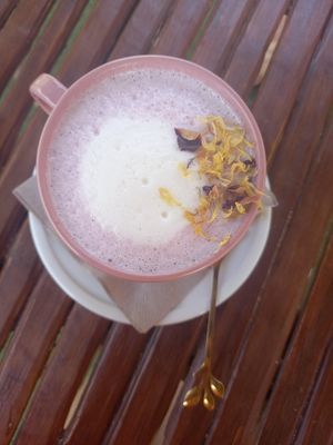  at Be Kind in Cattolica