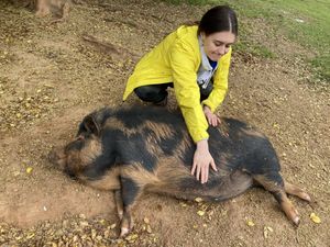 Zack   at The White Pig Bed and Breakfast in Schuyler
