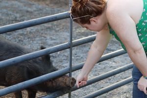 Trust me, you won't have to ask to pet them, they will gladly take all the love and attention you want to share with them. at The White Pig Bed and Breakfast in Schuyler