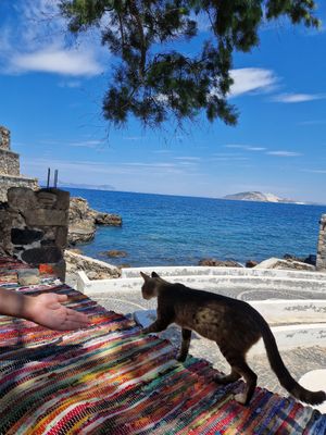  at Oxos in Nisyros