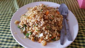 Fried rice with vegetables and tofu at Veggie Tables in Vang Vieng