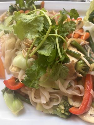 Rice noodles with veggies and tofuu  at Pho Saigon in Groningen
