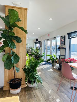 Lots of green healthy plants 🪴   at The SoSo in West Palm Beach