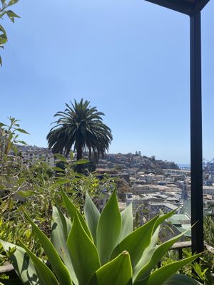   at El Peral Valparaiso in Valparaiso