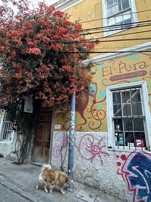 Entrance  at El Peral Valparaiso in Valparaiso