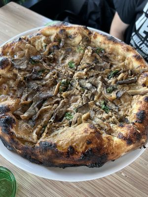 Blue Oyster  at Everyday Pizza in Denver