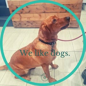 We welcome you to bring well behaved dogs with you when you visit - but ask that you are mindful of others in our small-but-perfectly-formed space. at Grow Green Deli + Eatery in Huddersfield