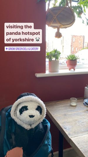  at Grow Green Deli + Eatery in Huddersfield