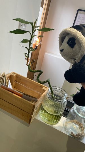 the jars of dog treats and panda treats by the door at Grow Green Deli + Eatery in Huddersfield