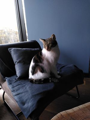  at Miau Grau in Warsaw