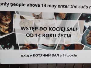 No kids allowed in the cats room at Miau Grau in Warsaw