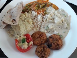 buffet for our group at Millets of Mewar in Udaipur