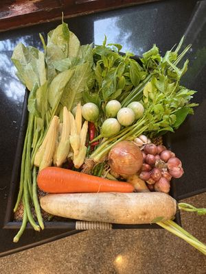 Most of the ingredients for our curries… the rest came from their organic garden  at Infusion Thai Cooking Class in Koh Samui
