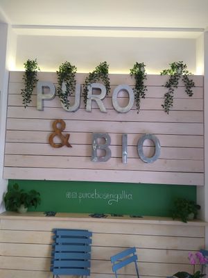 Inside at Il Gelato Puro & Bio - Senigallia in Senigallia