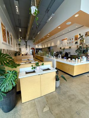   at Vibe Organic Kitchen & Juice in Costa Mesa