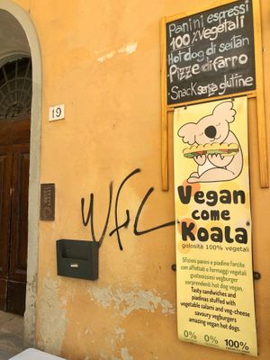 Vegan Come Koala.
 at Vegan Come Koala in Pisa
