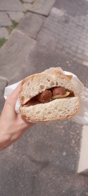  at Vegan Come Koala in Pisa