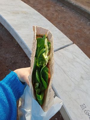 Kebab with seitan at Vegan Come Koala in Pisa