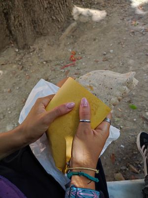 Piadina di farro con hamburger di seitan, crema di avocado, valeriana e formaggio vegano at Vegan Come Koala in Pisa