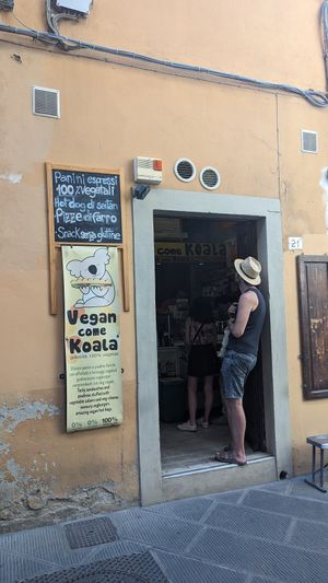 . at Vegan Come Koala in Pisa