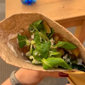  at Vegan Come Koala in Pisa