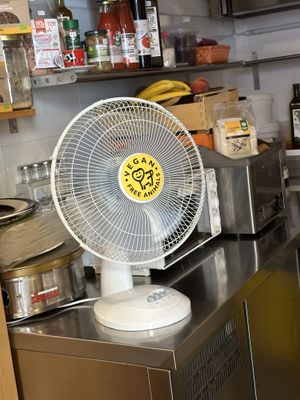 Inside the Shop  at Vegan Come Koala in Pisa