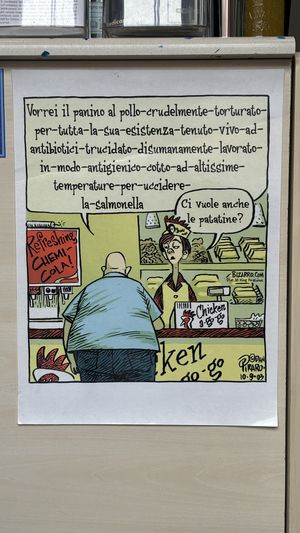   at Vegan Come Koala in Pisa