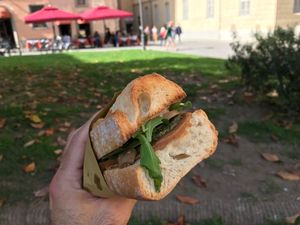 Great park to eat outside not far from shop. at Vegan Come Koala in Pisa