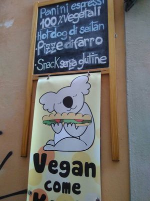Koala at Vegan Come Koala in Pisa