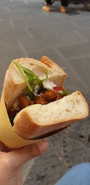 Seitan kebab sandwich at Vegan Come Koala in Pisa