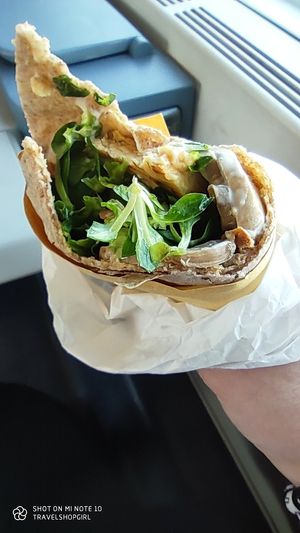 Tempeh wrap at Vegan Come Koala in Pisa