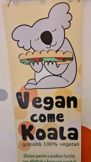Vegan Come Koala at Vegan Come Koala in Pisa