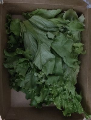  at Le Petit BouiBoui in Montreal