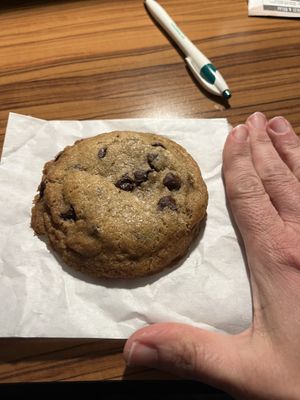 Tahini chocolate chip cookie!  at Brassica in Upper Arlington