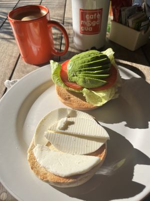   at Café Mogagua in Isla Mujeres