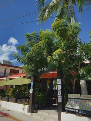   at Café Mogagua in Isla Mujeres