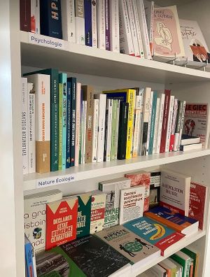  at Flora Lit in Paris