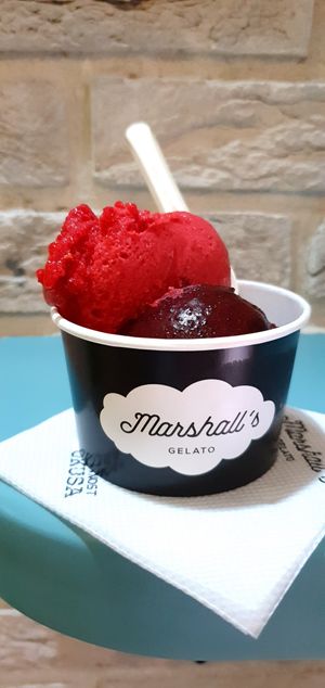 Raspberry and Blueberry sorbet at Marshall's Gelato in Kotor