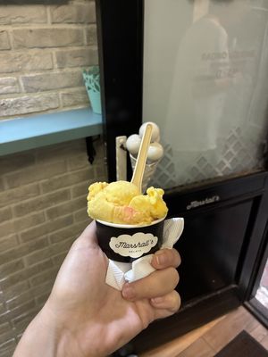   at Marshall's Gelato in Kotor