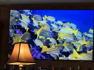 Enjoyable to watch.  at The Tropical Bar and Restaurant in Tulsa