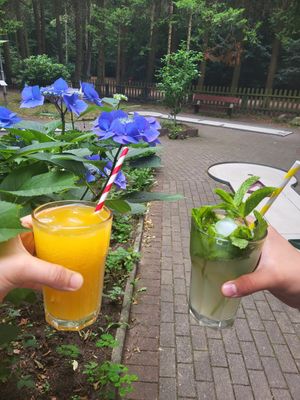 Maracuja Schorle & hausgemachte Limonana 🌿 at SAHA - das Waldcafé in Hamburg