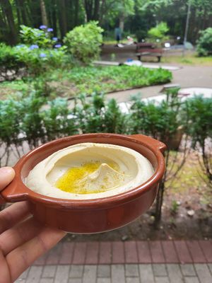 Humus #vegan at SAHA - das Waldcafé in Hamburg