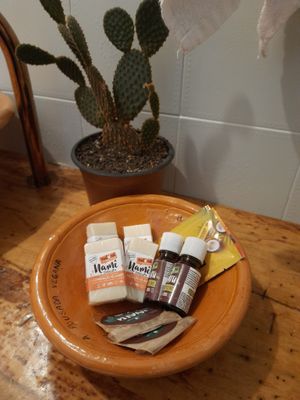  at A Pousada Vegana in Peruibe