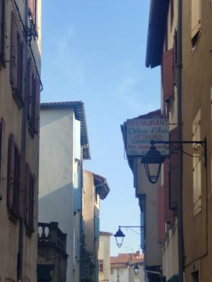 Location, Rue Milhau Ducommun at Délices d'Asie in Castres