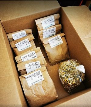  at Cia da Saúde Campeche in Florianopolis