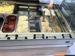 Different vegan flavors  at Majori Gelati in Bologna