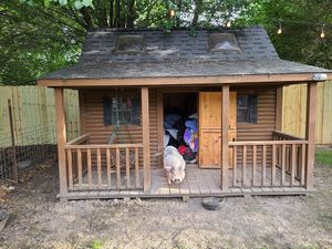 Piggy in its home at Oinking Acres Farm & Rescue Sanctuary in Brownsburg